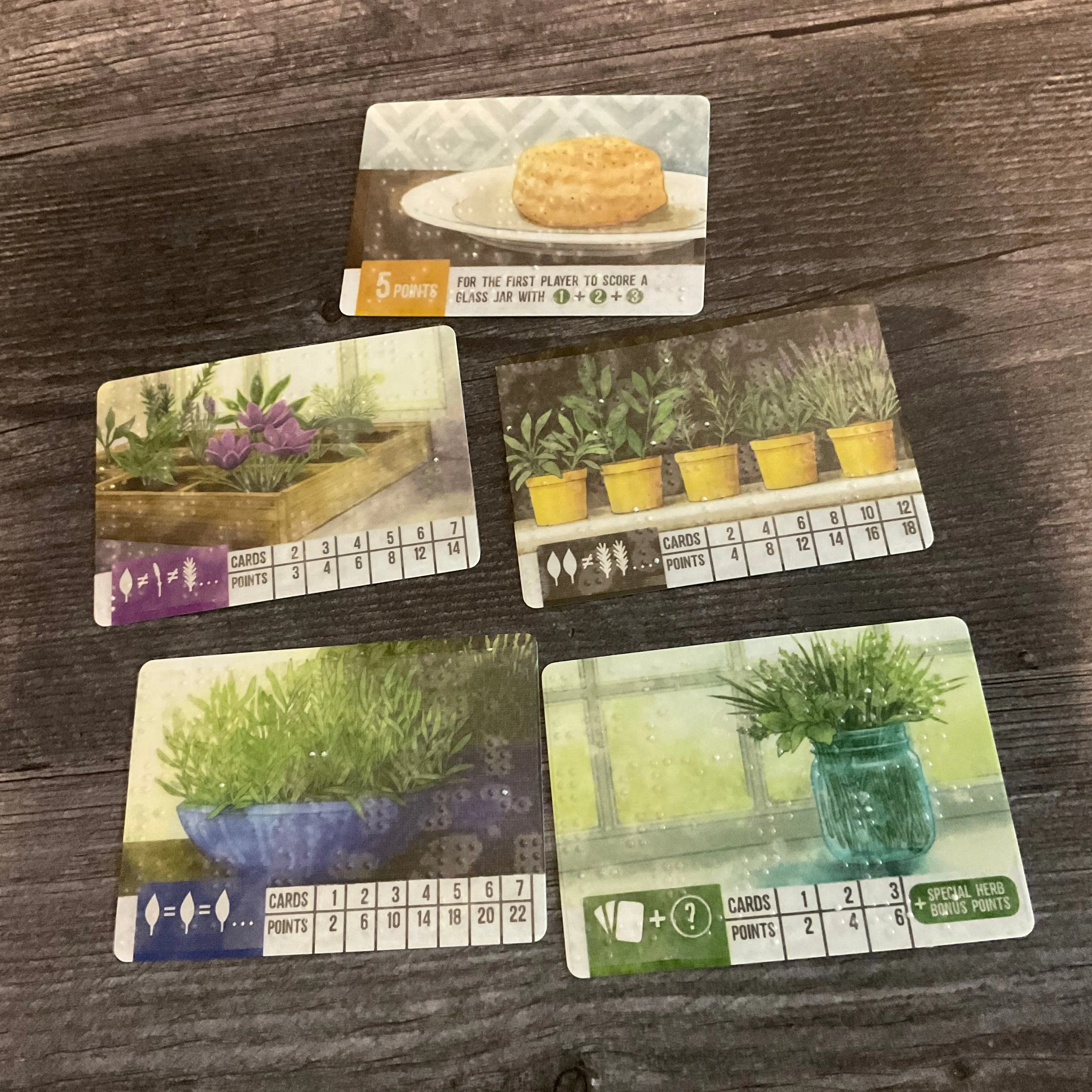 Herbaceous Accessibility Combo Kit