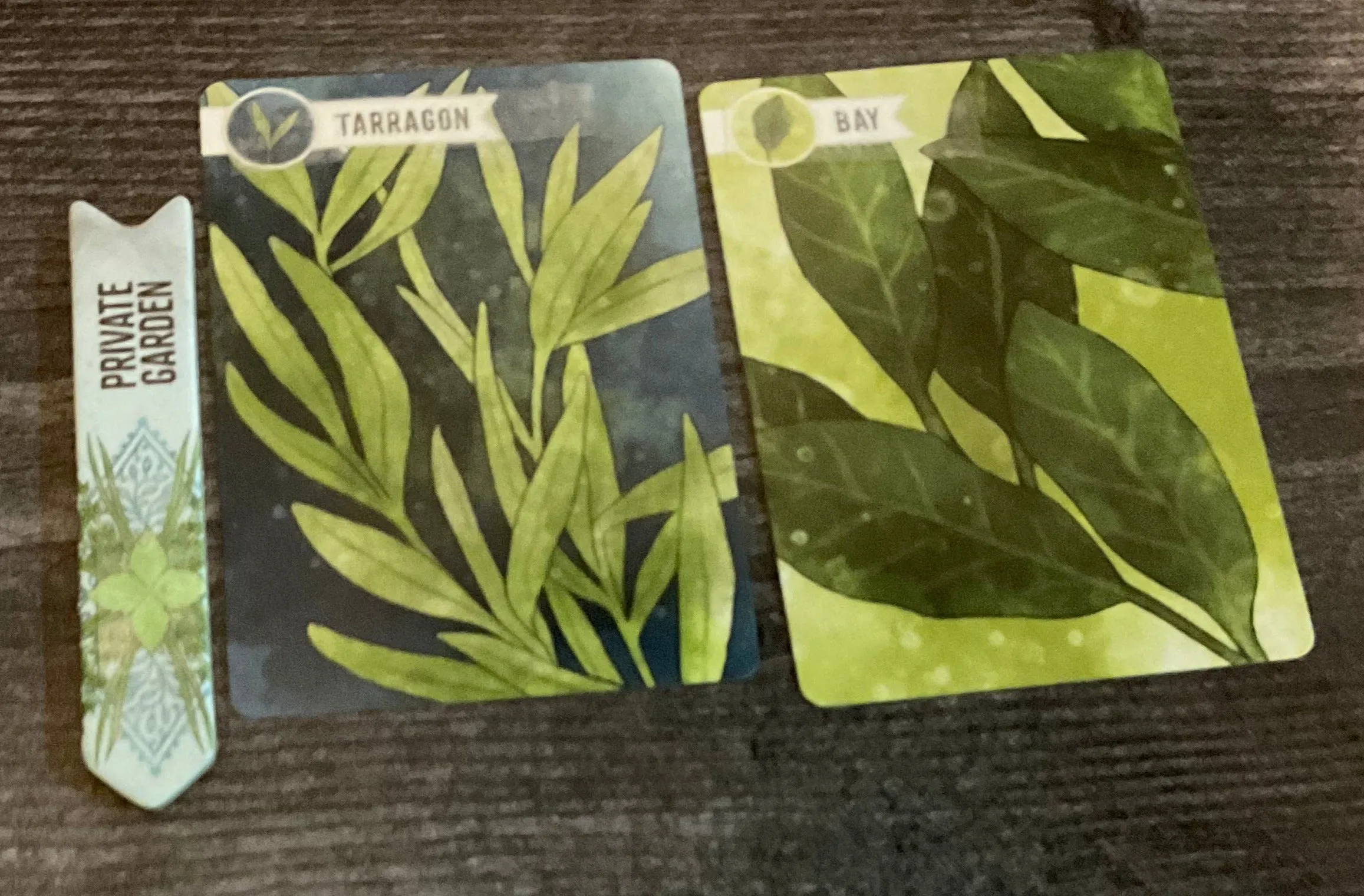 Herbaceous Accessibility Combo Kit